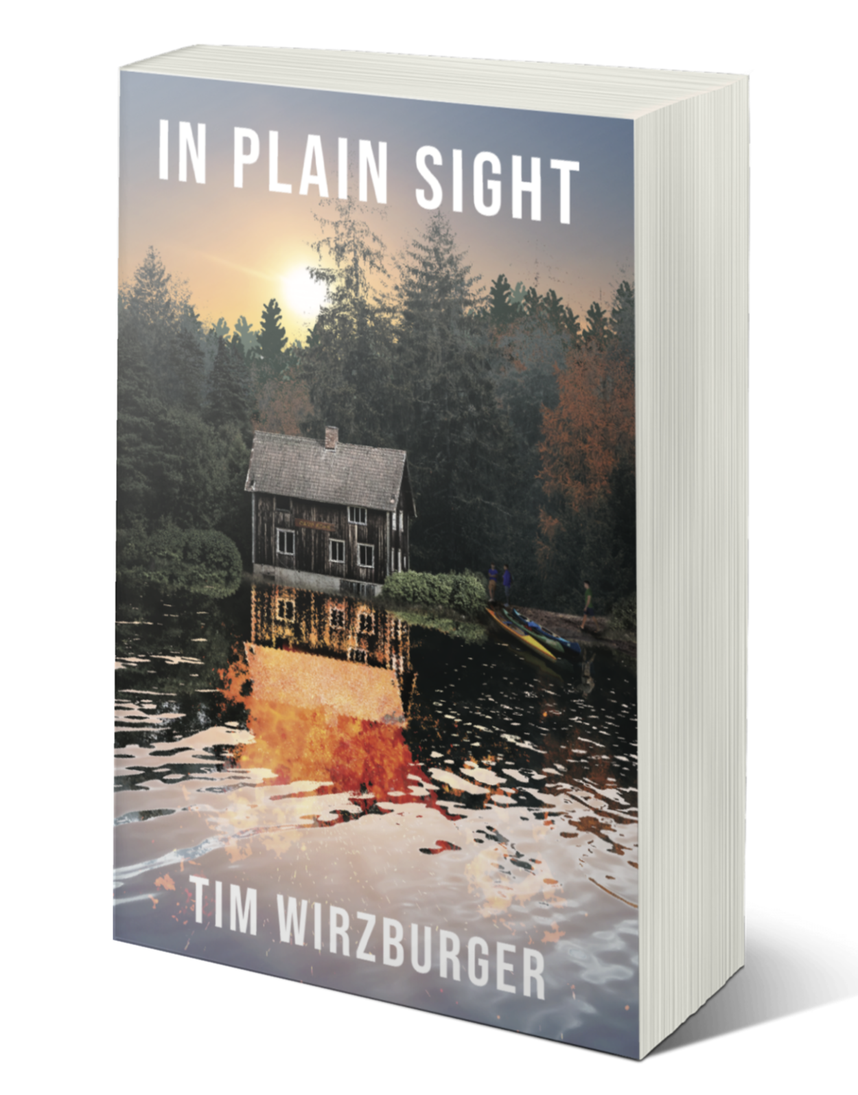 In Plain Sight Cover