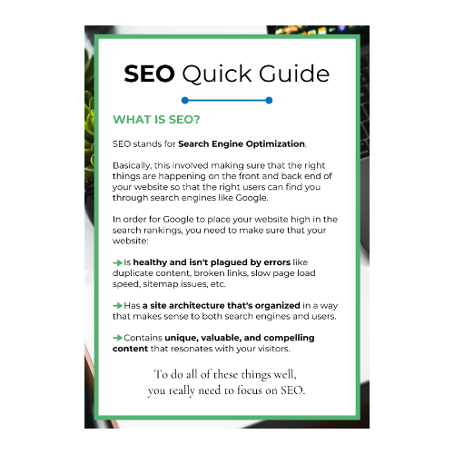 SEO Quick Guide SEO Quick Guide